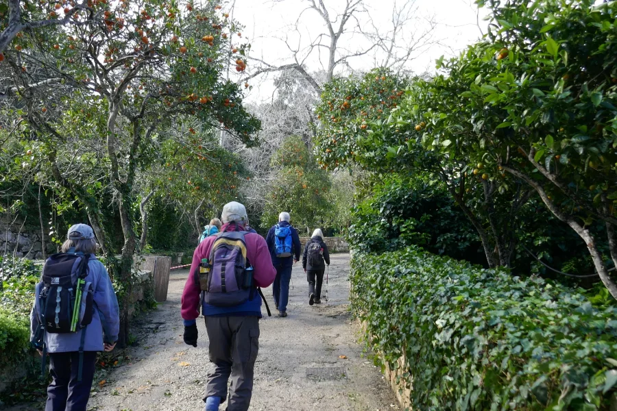 Buskett & Dingli Cliffs Private Walking Tour